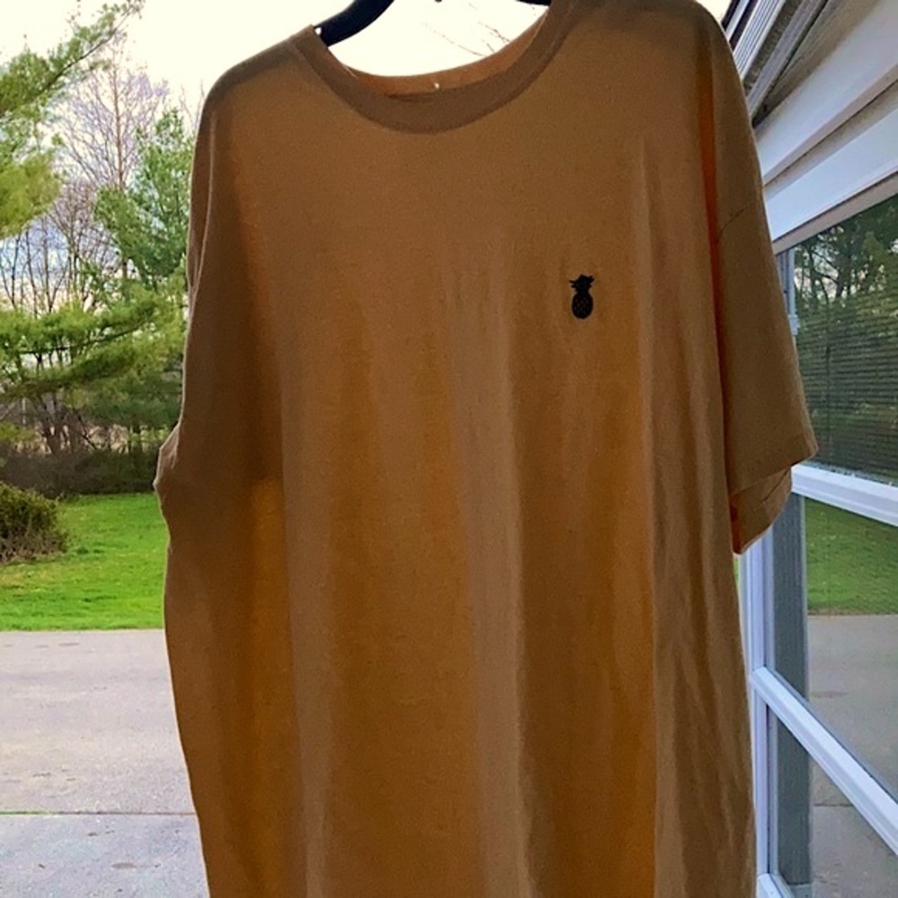 Orange Bits Pineapple T-Shirt